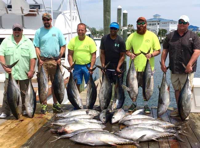 Book a Memorial Day fishing adventure because the Bite is ON!  Charter boats from Maryland to OBX are catching limits in few hours. Visit www.finandfield.com to book your holiday charter! #MemorialDay2016 #BookACharter #OC #OBX #MD #NC #VA #Fishing #FinandField