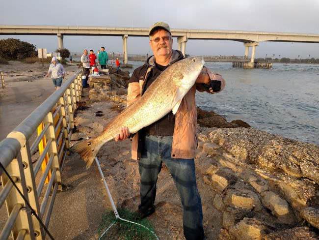 Bravo Barry from Florida! Thanks for sharing your photo at myadventures@finandfield.com.  #Fishing #Florida #Adventure #FinandField