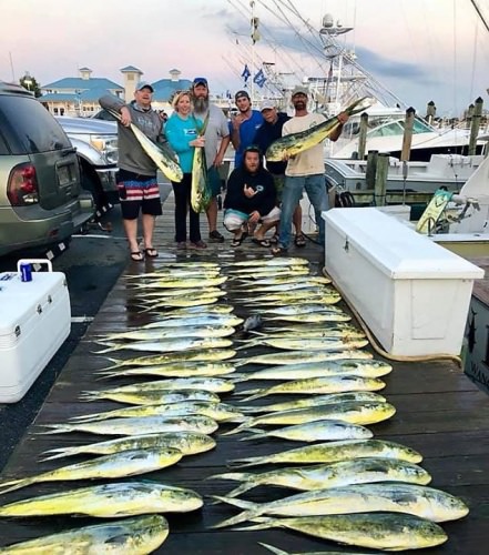 Now that's a dock full for Siren Charter Fishing. #Mahi #Fishing #OCMD #FinandField