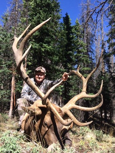 The team at #WoodRiverRanch and guide Bruce Bolli putting their client on game to get archery season started right. Congratulations Mike on a beautiful bull. #Hunting #Elk #DreamBig2016

Learn more about Wood River Ranch - http://bit.ly/2cRdnys