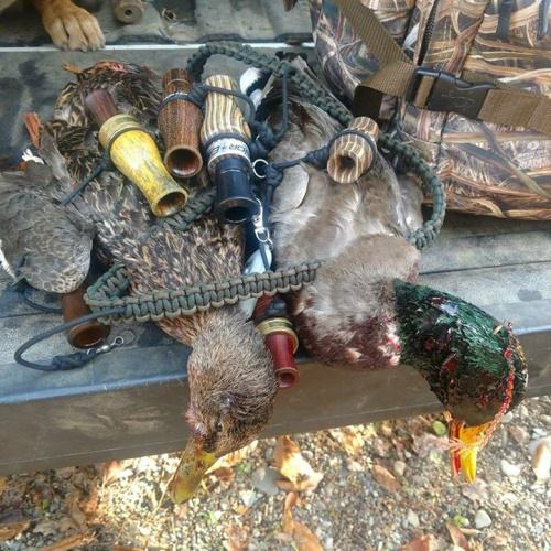 Good morning duck hunting Curt got a couple Mallards.