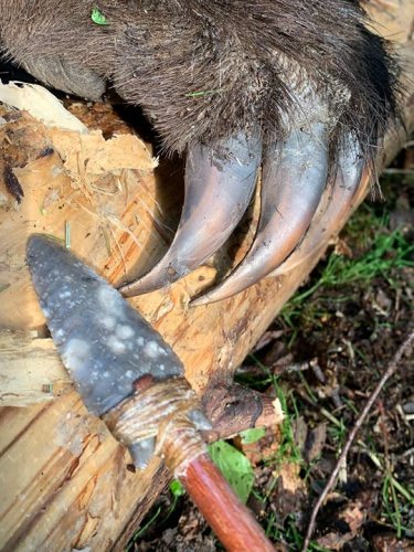 So you want to go Griz hunting? Just remember they could be hunting you! #Claws #Bear #Grizzly #NoThanks #Hunting #FinandField #OL