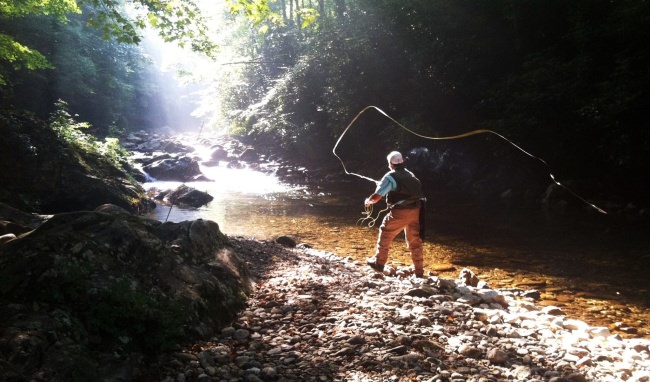 The art of fly fishing! Book an awesome fishing adventure with Asheville Fly Fishing Company at www.finandfield.com. #Fishing #NC #FlyFishing #Adventure #FinandField