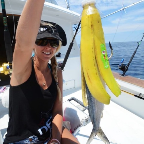 No bananas or lucky lure? No bananas on board! Banana superstitions have been around since 1700 - boats carrying banana can't catch fish, sink, men die from methane gas, deadly spiders, and slippery decks. What do you think?