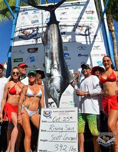 Bisbee's Black and Blue Marlin Tournament is rolling!

#Hunting | #Fishing | #Adventure | #FinandField