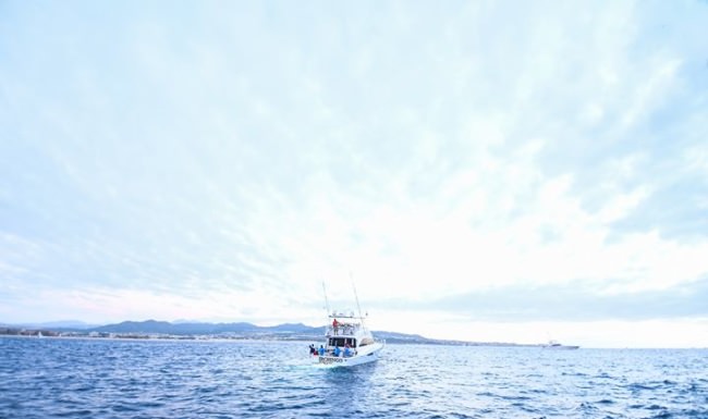 Day 2 of Bisbee's Black & Blue. #Fishing #Cabo Bisbee's Offshore Fishing Tournaments #FinandFied