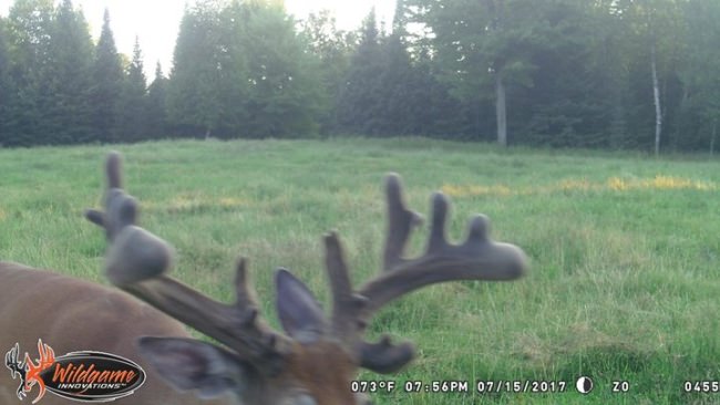 Three Lakes Trophy Ranch averaged 190" bucks for their clients last year! Here are their available dates this year:

Sept 21-25: Prime Bow season

Oct 28-Nov 1: Prime Rut

Nov 2-6: Prime Rut

Contact them now before they fill up! http://bit.ly/2lXB003 and enjoy these recent trail cam pics...