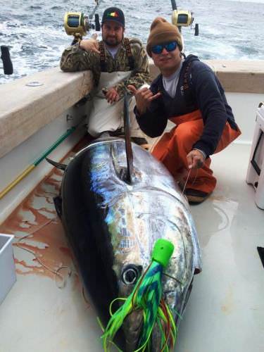 What is on your fishing bucket list? No Quarter Sportfishing landed this beast last year. #DreamBig2016 #FindandBook #OutdoorAdventureTrips #FinandField #NoQuarter