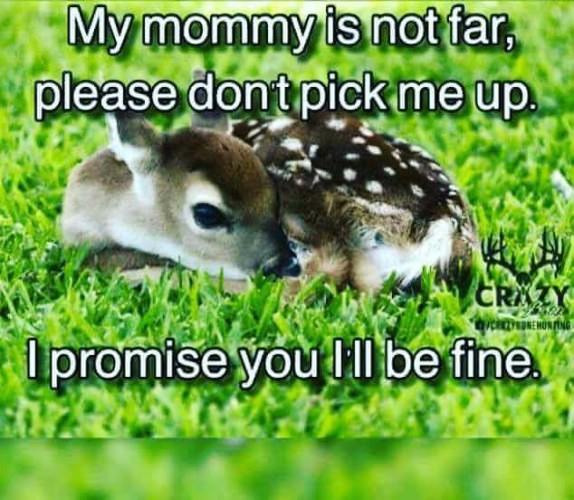 It's almost time, don't touch! Ever!!