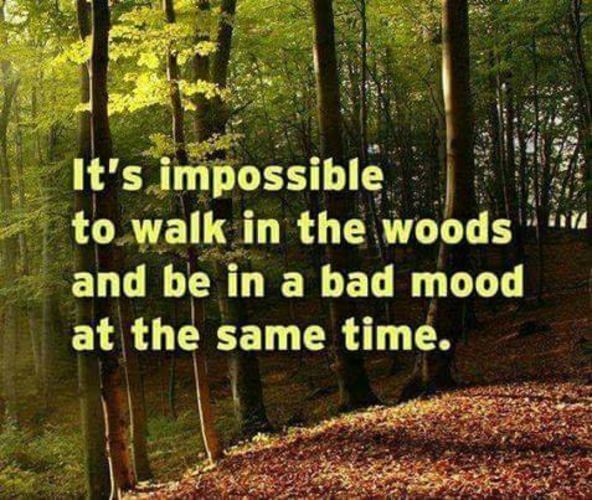 Absolutely!
#racknine