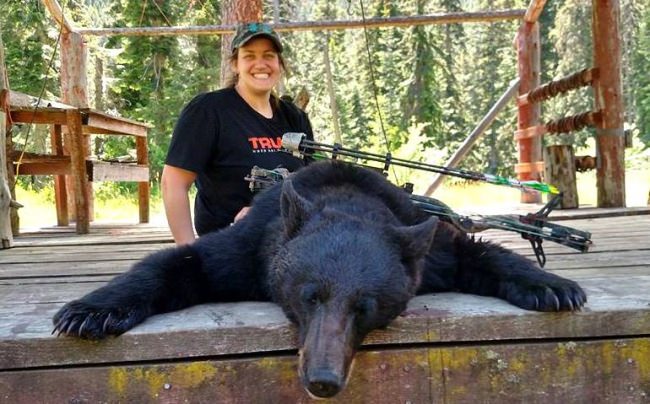 Bear season have been a huge success so far at York Outfitters! Book your Idaho hunting adventure at www.finandfield.com. #Bear #MountainLion #Elk #Deer #Idaho #Hunting #Adventure #FinandField