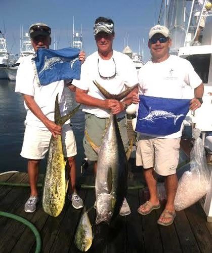 Rhonda's Osprey Charter Fishing is rolling just days before White Marlin Open! #Fishing #OC #Marlin #OCMD #WhiteMarlinOpen #WMO2015 #FinandField