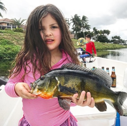 Young or old makes no difference, anyone can slay the peacock bass and clown knife fish with South Florida Bass Charters (http://bit.ly/2nCE55R)! And you can #BookWithConfidence since they are endorsed by BlacktipH!