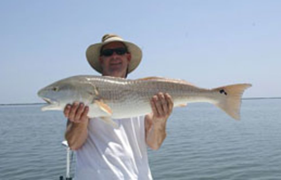 Fish with South Louisiana Redfishing Fin & Field