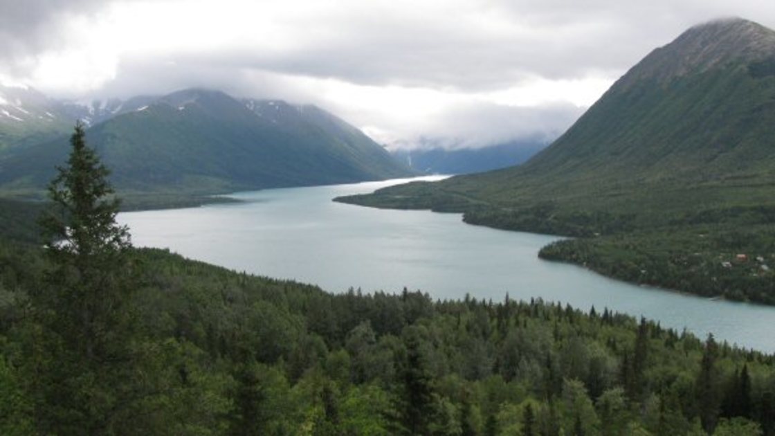 Fish with Salmon Run Lodge Fin & Field