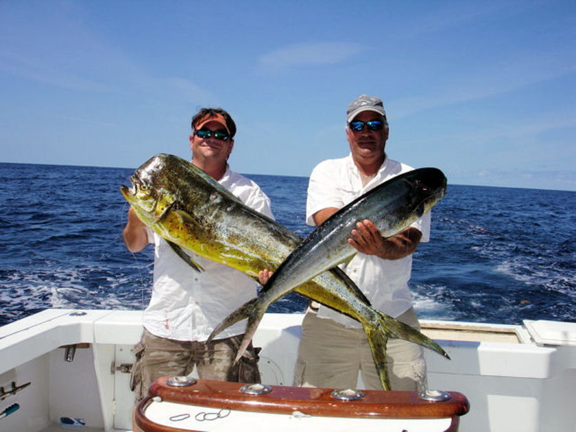 Fish with Last Mango Charters | Fin & Field
