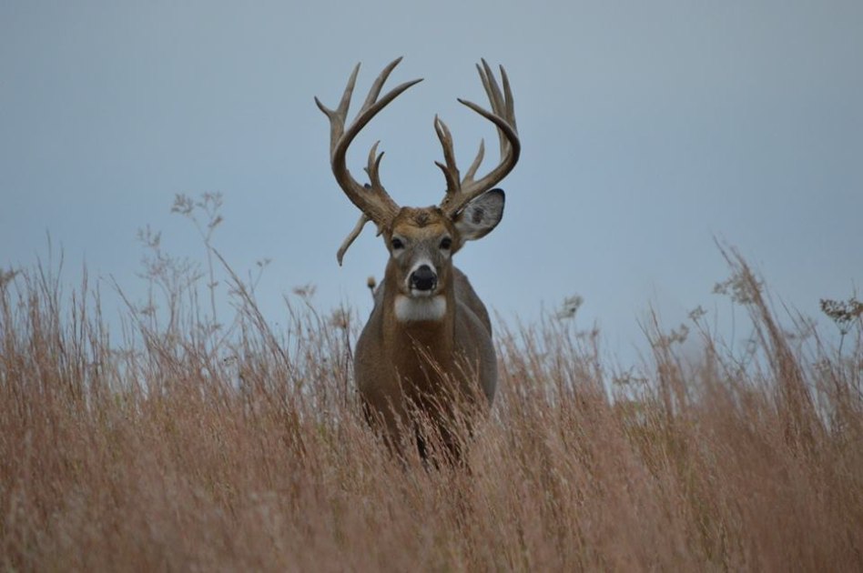 Hunt with Riverview Ranch | Fin & Field