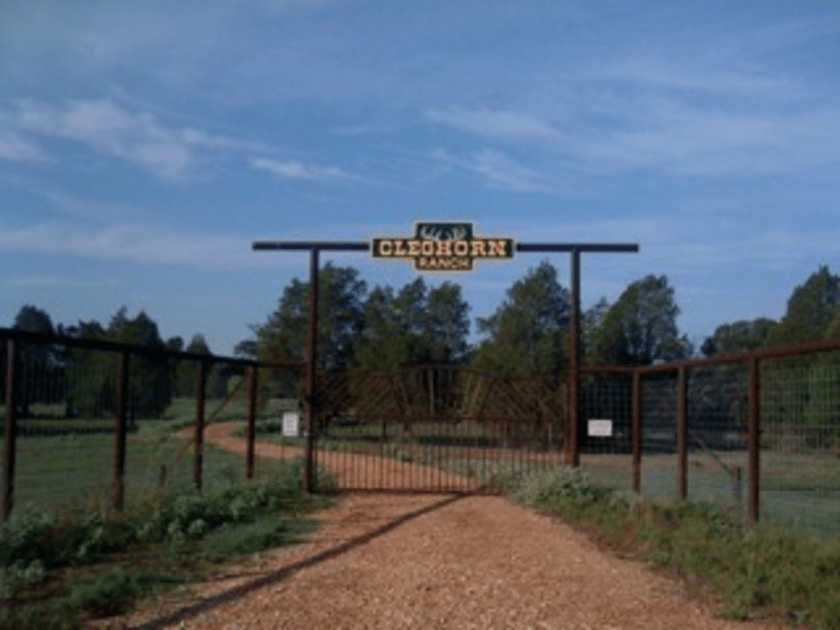 Hunt with Cleghorn Ranch Fin & Field
