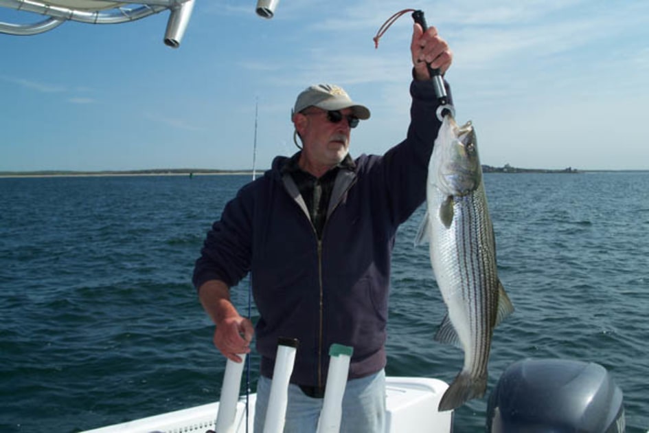 Fish with Tiderunner Charter | Fin & Field