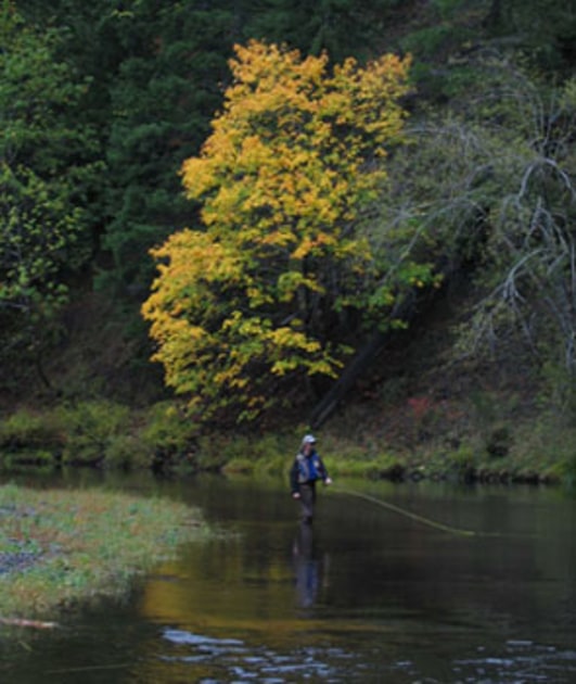 Fish with Two Dudes Fly Fishing Fin & Field