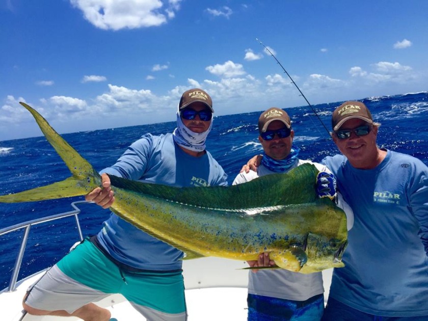 Fish with Captain Chris Morrison Fishing Charters Fin