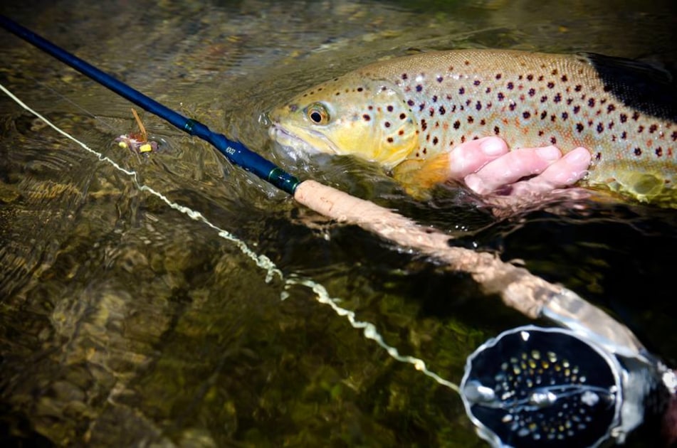 Visit Beaverkill Rod Co. Fin & Field