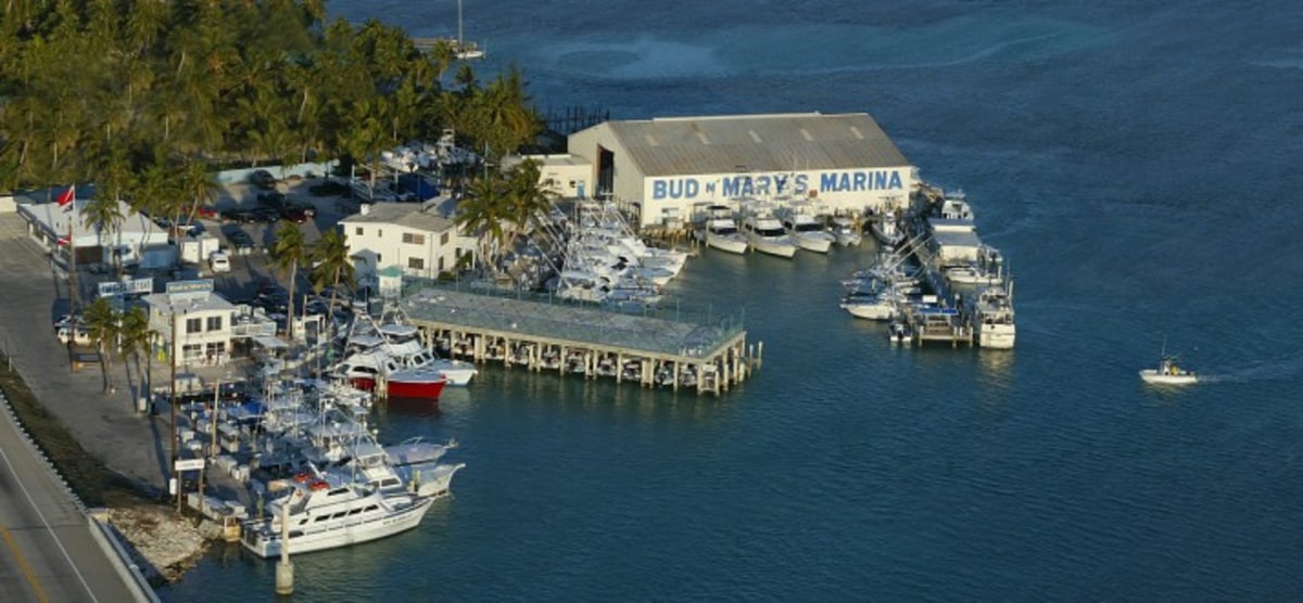 Fish with Bud N Marys Fishing Marina