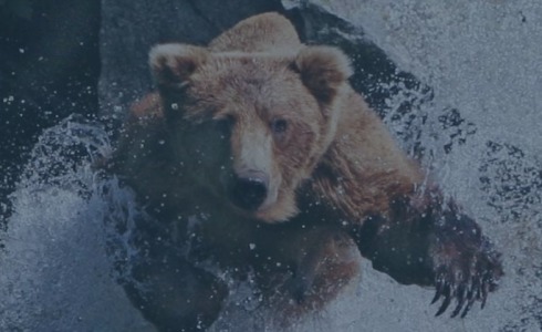 SPORTSMAN FIRST TROPHY CORNER: JAN. 2017