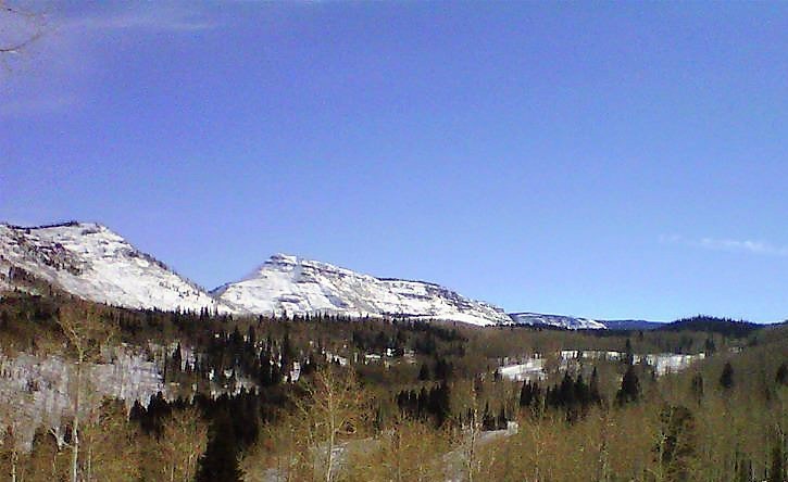 Fish & Hunt Colorado