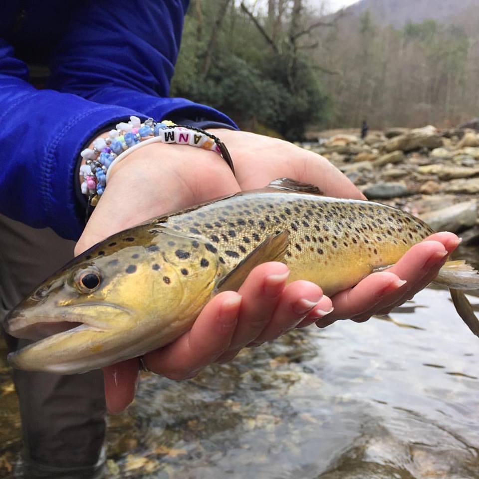 TROPHY CORNER: MAR 2017