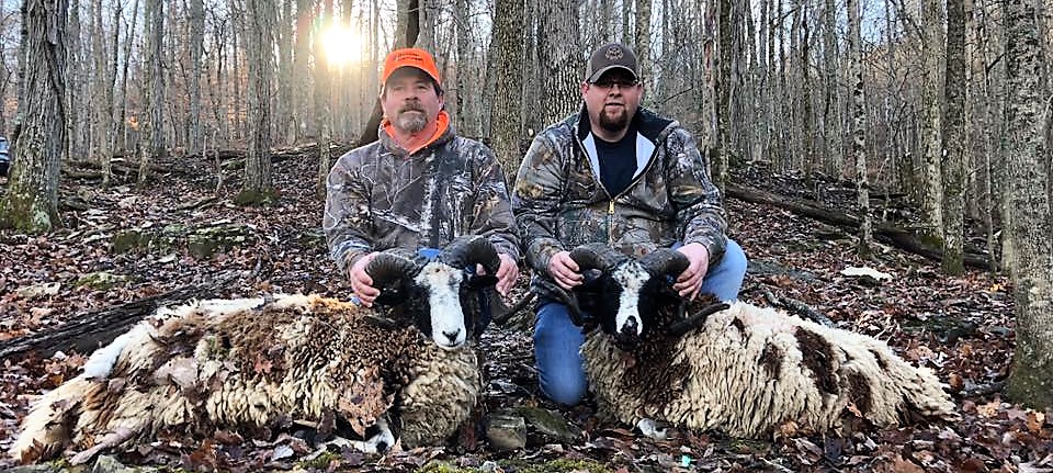 TROPHY CORNER: DEC 2017