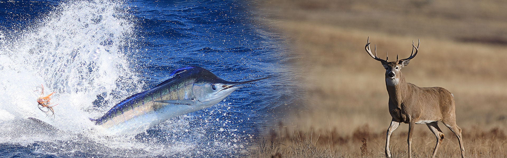 $5,000 Book with the Best Giveaway