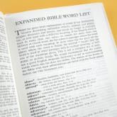 Thumbnail 10 - Personalised Bible