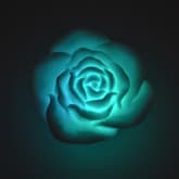Thumbnail 3 - Floating Rose Bath Lights