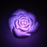 Thumbnail 4 - Floating Rose Bath Lights