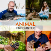 Thumbnail 1 - Animal Encounter