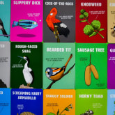Thumbnail 4 - Don’t Be a Dik Dik Card Game