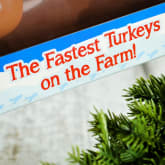 Thumbnail 6 - Racing Turkeys
