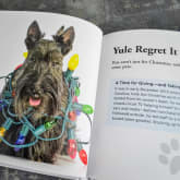Thumbnail 7 - Dogs Gone Bad Real Life Stories Book