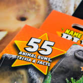 Thumbnail 2 - Name That Bumhole Game