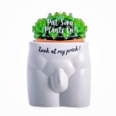 Thumbnail 2 - Look At My Prick Male Anatomy Plant Pot