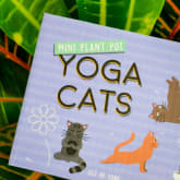 Thumbnail 2 - Mini Plant Pot Yoga Cats