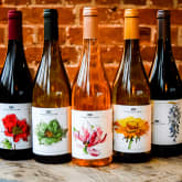 Thumbnail 5 - Vineyard Tour and Tasting for Two at Stanlake Park Wine Estate