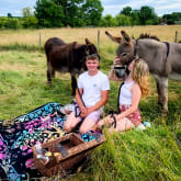 Thumbnail 1 - Donkey Picnic for Two at Dashing Donkeys