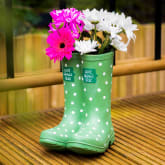 Thumbnail 10 - Welly Boot Planter 