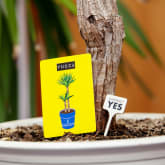 Thumbnail 3 - Don't Kill Your Houseplants Survival Guide 