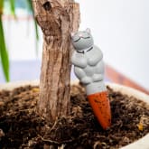 Thumbnail 3 - Grow with the Flow Kitty Gardening Watering Spikes