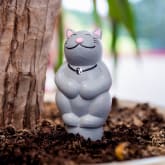 Thumbnail 4 - Grow with the Flow Kitty Gardening Watering Spikes