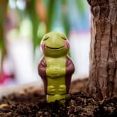 Thumbnail 4 - Grow with the Flow Toad Gardening Watering Spike