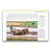 Thumbnail 4 - The Tractor Story - Book